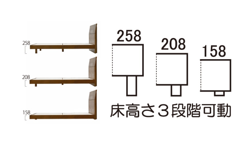 リアル脚.jpg